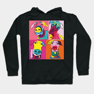 Doberman Funny faces Hoodie